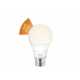 Healthy Illumination Bulbs Image 2