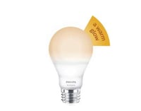 Healthy Illumination Bulbs Image 4