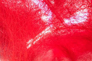 Suspended Thread Installations: This Artistic Installation References ...