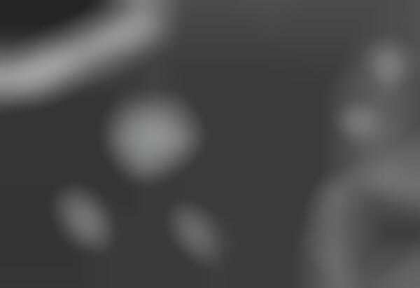 Smartphone Port Adapters