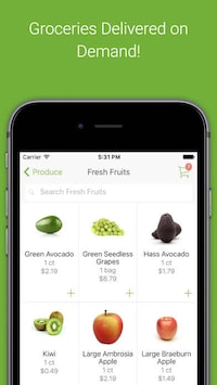 Scheduled Grocery Delivery Services Image 3