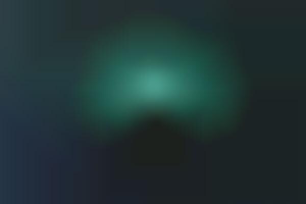 Bioluminescence Night Lights
