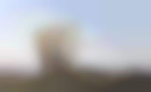 Abstractly Angled Apses