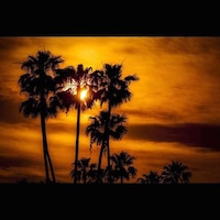 Mystical Environmental Photography Image 4