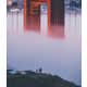 Mystical Environmental Photography Image 6
