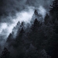Mystical Environmental Photography Image 7