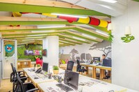 Jungle-Themed Offices Image 2