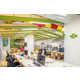 Jungle-Themed Offices Image 2