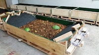 Food Waste Chicken Treats Image 6