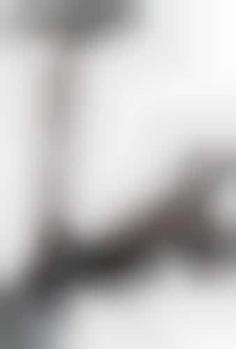 Family-Friendly Scooters