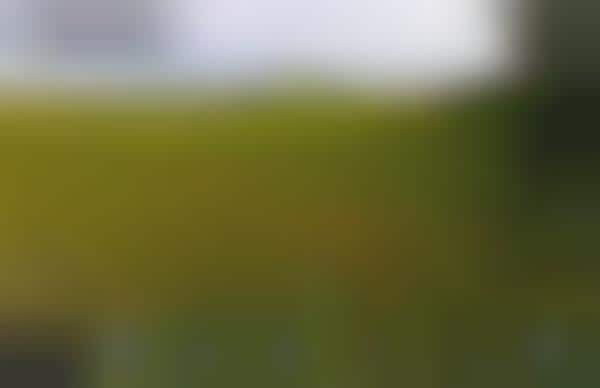 Online 360-Degree Golf Courses