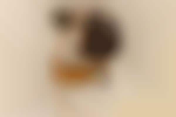 Dog-Tracking Collars