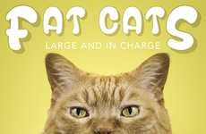 Fat Feline Photography