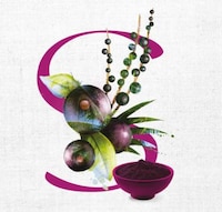 Superfood Powder Canisters Image 6