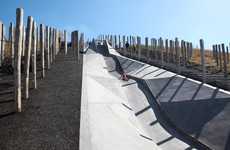 Architectural Jungle Gyms