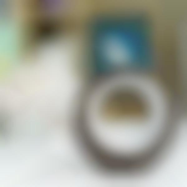 Holistic Air Purifiers