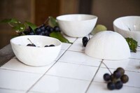 Literal Fruit Bowls Image 2