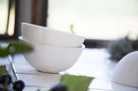 Literal Fruit Bowls Image 4