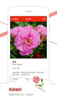 Flower Recognition Apps Image 2