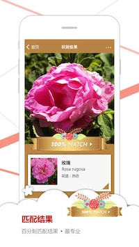 Flower Recognition Apps Image 3