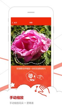 Flower Recognition Apps Image 4