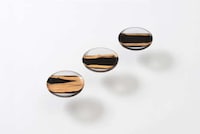 Resin-Encased Desk Decor Image 6