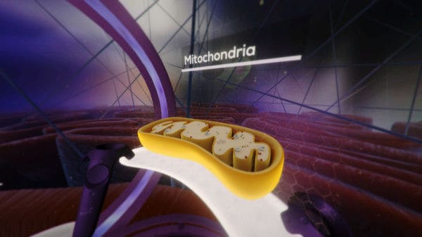 Biological VR Experiences