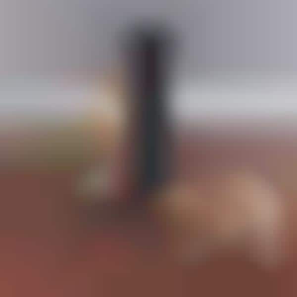 Digital Feline Scratch Posts