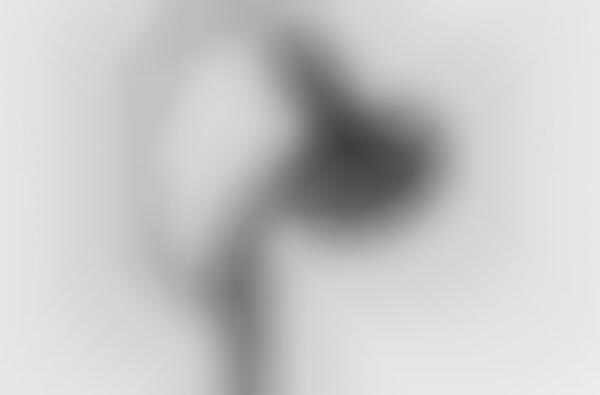 Fingerprint-Scanning Smart Lamps