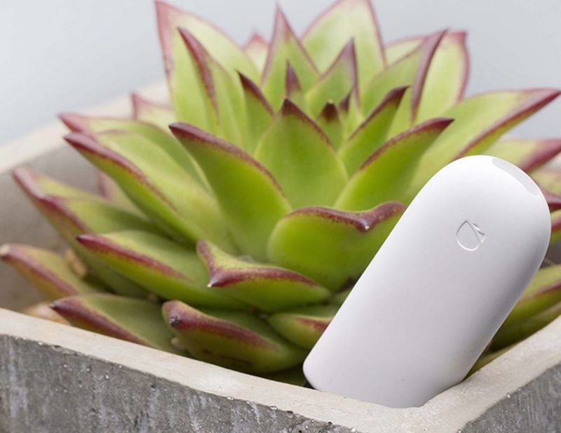 Intelligent Garden Trackers