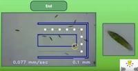 Microbial Arcade Games Image 4