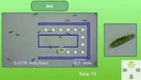 Microbial Arcade Games Image 6