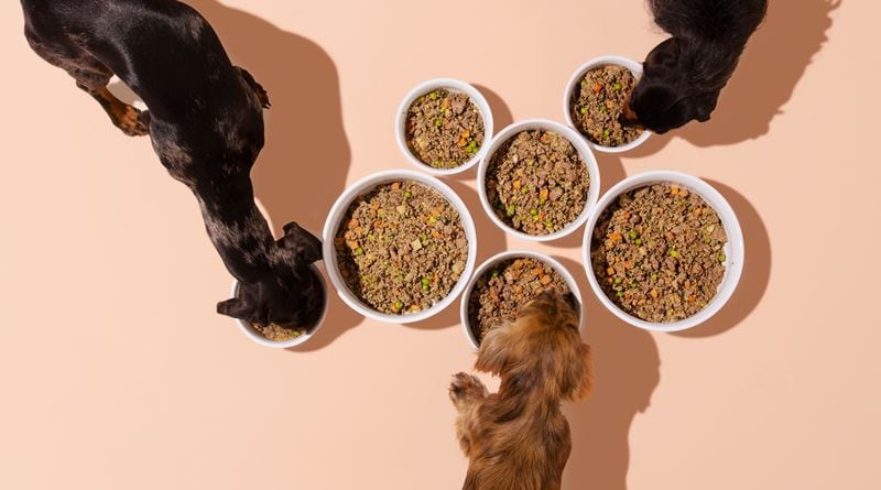 Customized Dog Food Deliveries