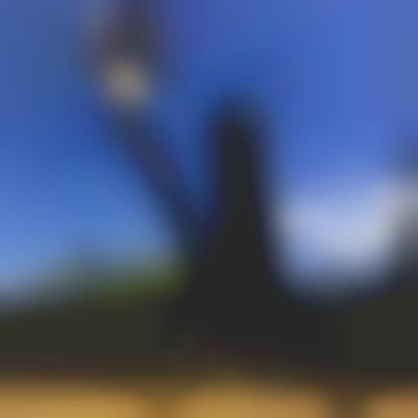 Angled Camera Mounts