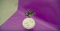 Cake-Creating Drone Commercials Image 8