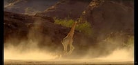UHD Nature Documentaries Image 4