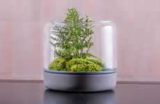 Modular Desktop Terrariums
