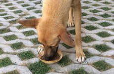 Edible DIY Dog Bowls