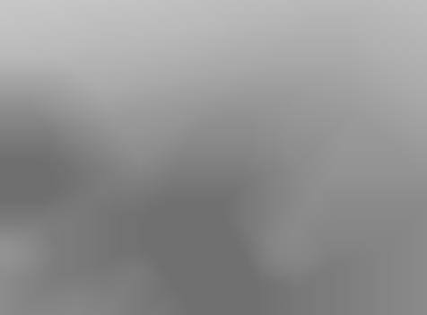 Governmental GIF Archives