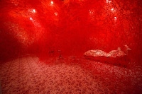 Immersive Fashion Installations Image 2