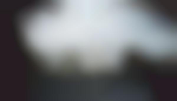 Translucent Orchestral Halls