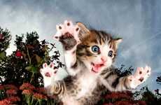 Flying Kitten Photography Books