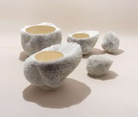Spiky Urchin Furniture Image 2