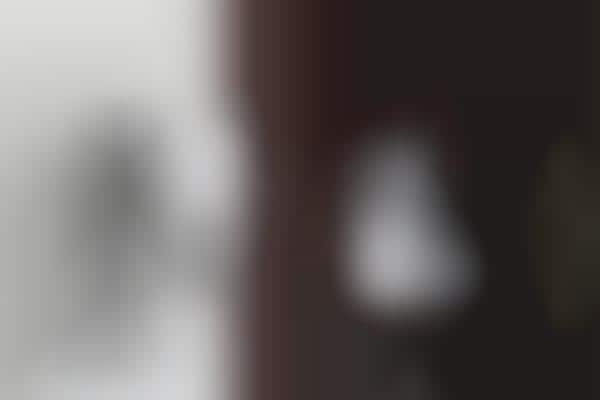 Smart Home Locks