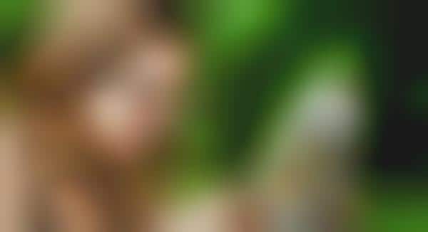 Wearable Camera Blindness Aids