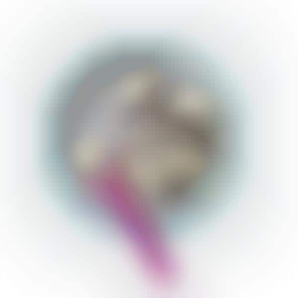 Instantaneous Ice Cream Makers