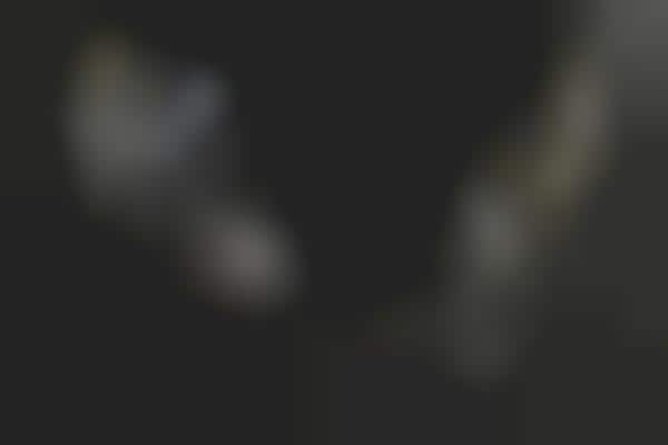 Powerful Object-Tracking Telescopes