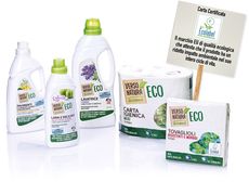 Eco-Friendly Cleaning Products Article Thubnail