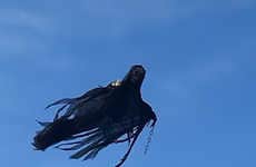 Dark Creature Drones
