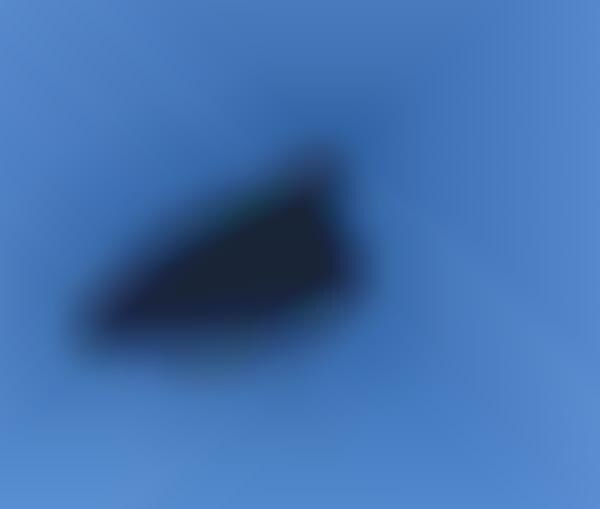 Dark Creature Drones